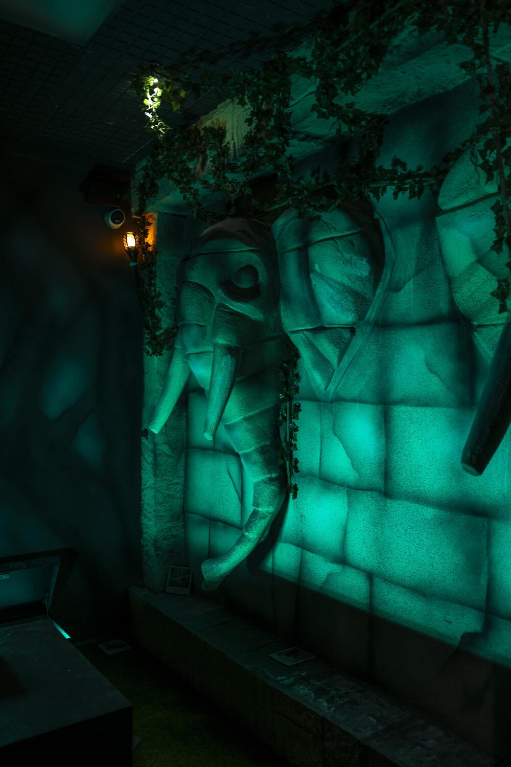 jungleDSCF2185-minrid